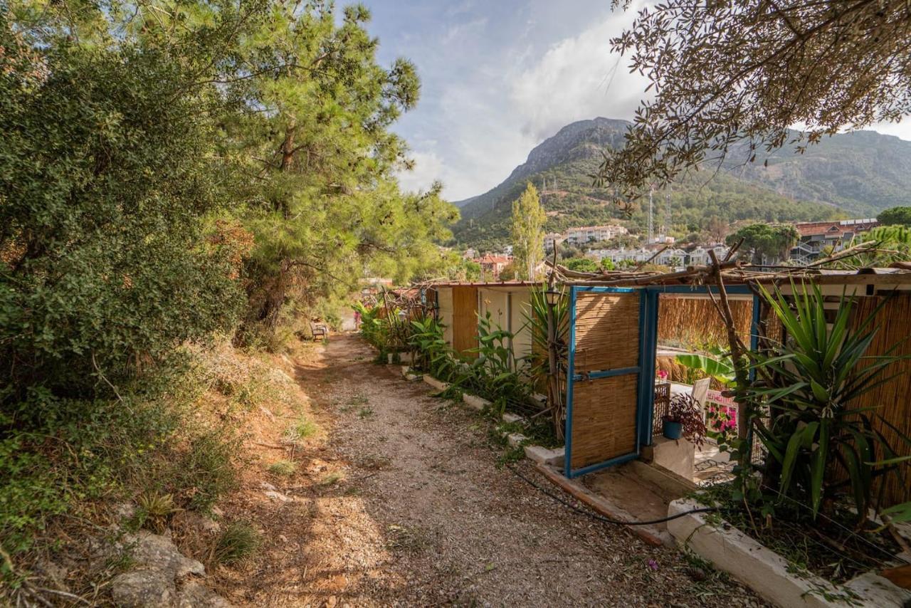 Begonvilla Bungalows Фетхіє Екстер'єр фото
