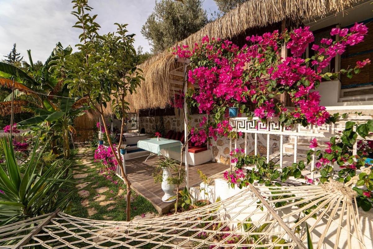 Begonvilla Bungalows Фетхіє Екстер'єр фото